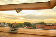 rated Cwmrhydyceirw roof window companies
